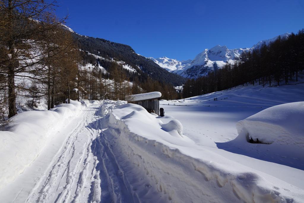 Hotel Alpenrast Riva di Tures Exterior foto